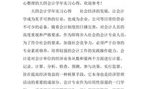 企业会计实习总结