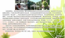 我与世博同行_800字