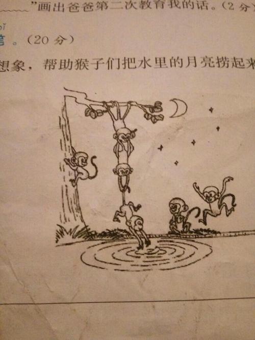 猴子世界（查看地图写）_150字
