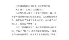 实验与观察_300字