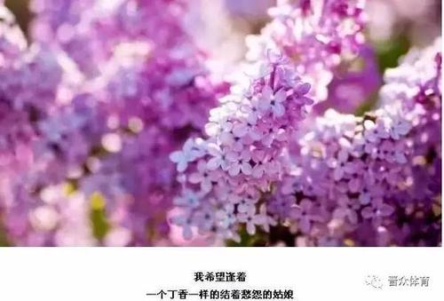 三个月后，水生父母来到正捷伦，感谢谢谢。山摆动已经运作，它是平滑地移除腹膜肿瘤而不是炸弹。然而，要做的钱是手术的是，常熟和郑家勋被分组。他们没有花很多钱。在疾病之后，山终于含有幸福的泪水来常常水，成为郑家珍最美丽的新娘......