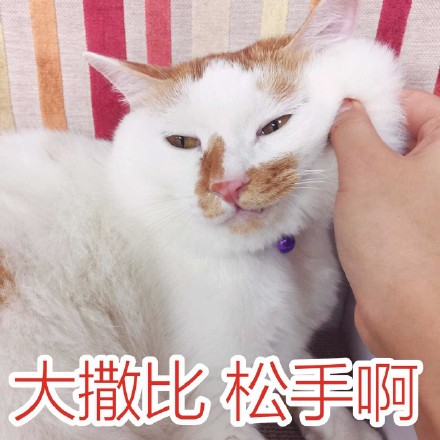 我的动物朋友“花脸”_300字