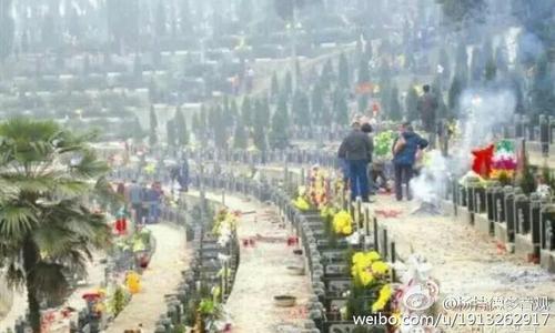 清明节扫描_600字
