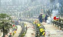 清明节扫墓_600字