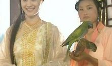 江湖有个杨神瞎