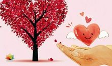 我们应该像一颗坚强的豆子_350字