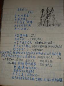 [读]浣熊在吉尔达河上_200字