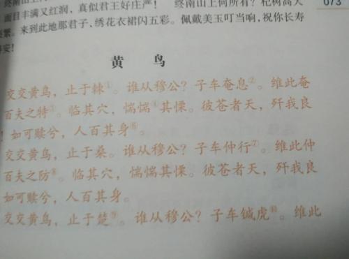 [阅读]责任_150字