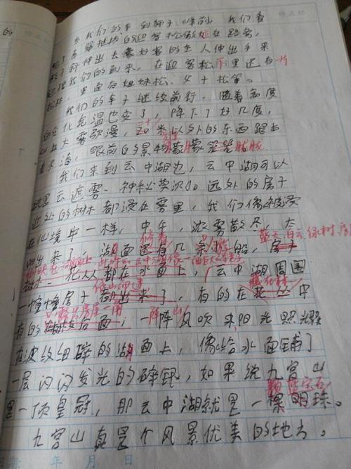 感谢挫折_900字
