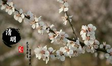 祭奠的悲酸，踏青的欢笑_550字