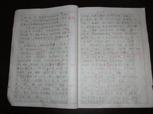 巴黎Notre Dame句子_650字