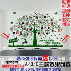 对面对面的大树_300字