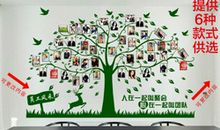 教室对面的大树_300字