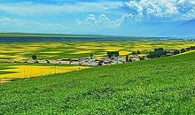 当你被世界遗忘_350字