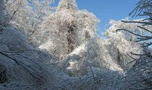 冬天优美段落：冬段落_900字