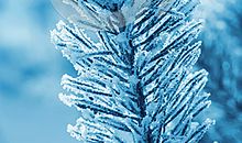 冬天优美段落：快乐的冬天段落_700字