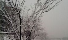 冬天优美段落：寒冷的冬天段落_750字