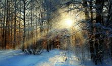 冬天优美段落：美丽的冬天段落_1200字