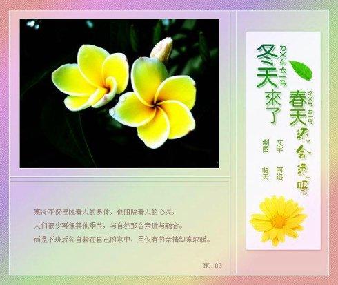 冬季美女段落：温暖的冬季段_800字