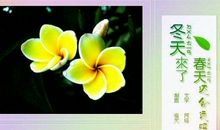 冬天优美段落：温暖的冬天段落_800字