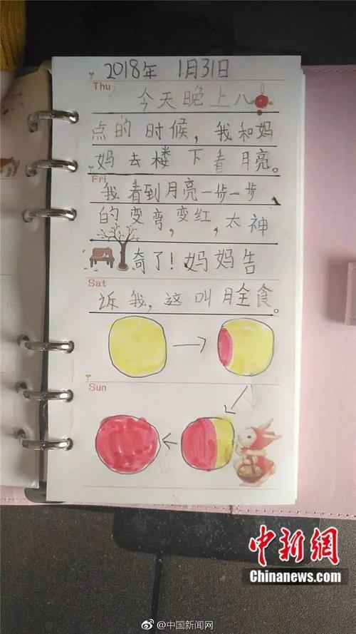 一年级日记：访问天文_250字