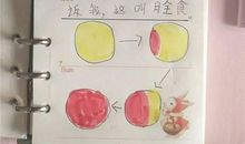 一年级日记：参观天文馆_250字