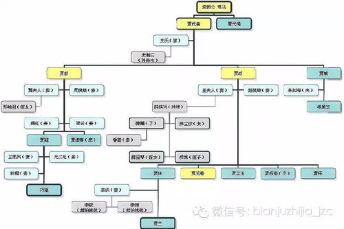 红楼梦人物关系