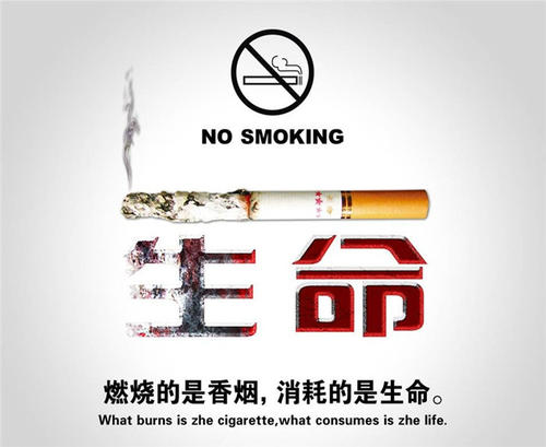 世界没有烟草日