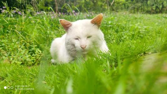 [2013年夏季论文]一个触摸青年，与盛开_1200字