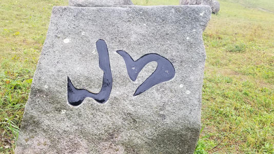 思考_1000字