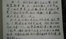 阳台上的趣事_400字