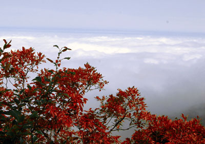 秋季风景_400字