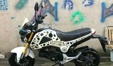 小猴去赶集_450字