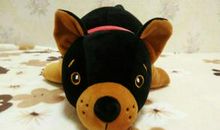 我的玩具狗_200字