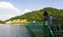 雨游木兰天池_50字