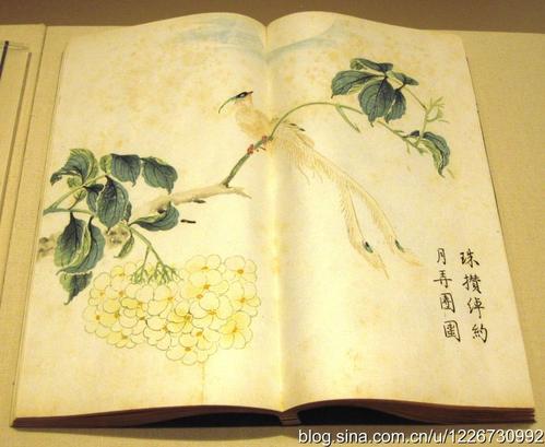 芥末生活_600字