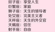 我的人生信条_700字