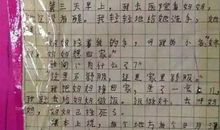 【微作文】又是一个夏天_150字