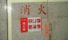 折翼而飞_1200字