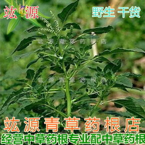 3月绿草咬_650字