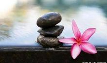 走好人生的路，不要吸毒_600字