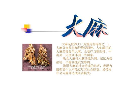 我们拒绝吸毒_750字
