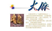 我们拒绝毒品_750字