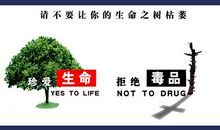 珍爱生命，拒绝毒品_800字
