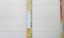 【读书札记】摘抄《李白诗集》_600字