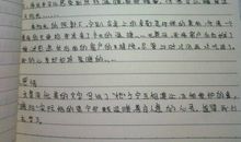 【读书札记】好词好句好段_1500字