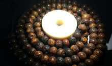 青春的菩提_800字