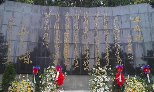 清明节扫了殉道者的坟墓_900字