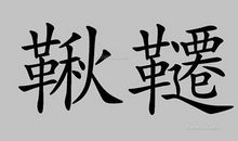 从树想到的_1000字