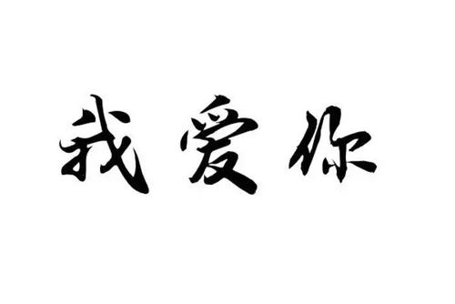 爱我的中国_700字